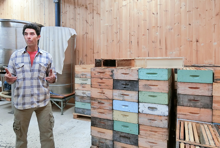miellerieは、みつばちの巣箱から手作り。木箱の材料もタスマニアの木材を使用しています。