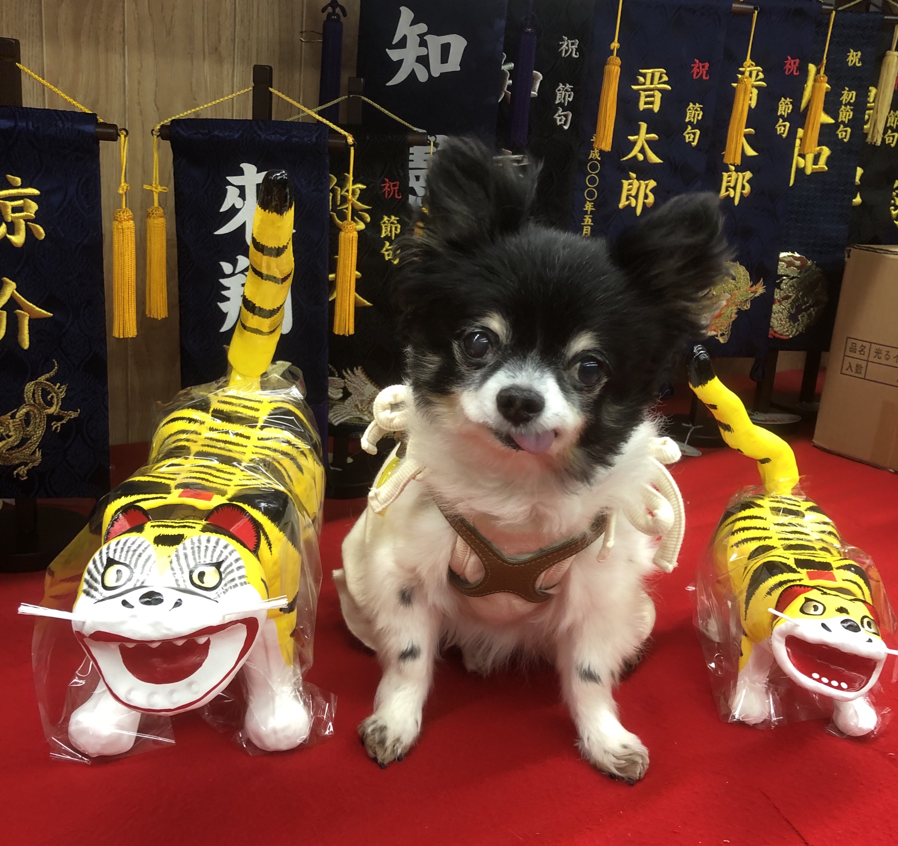 伝統工芸品！