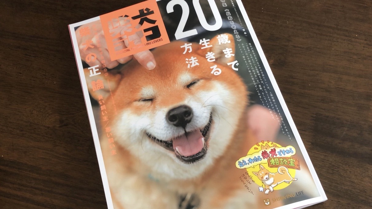【雑誌掲載】『柴犬ライフ 秋号2020』〜柴犬の正論〜 vol.4に作品が掲載されました。
