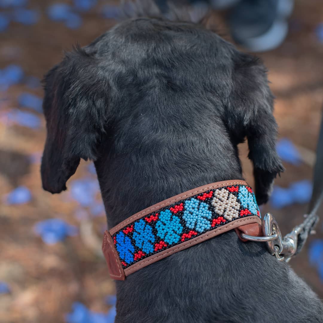 犬の首輪★メキシコのウイチョル族ハンドメイド★