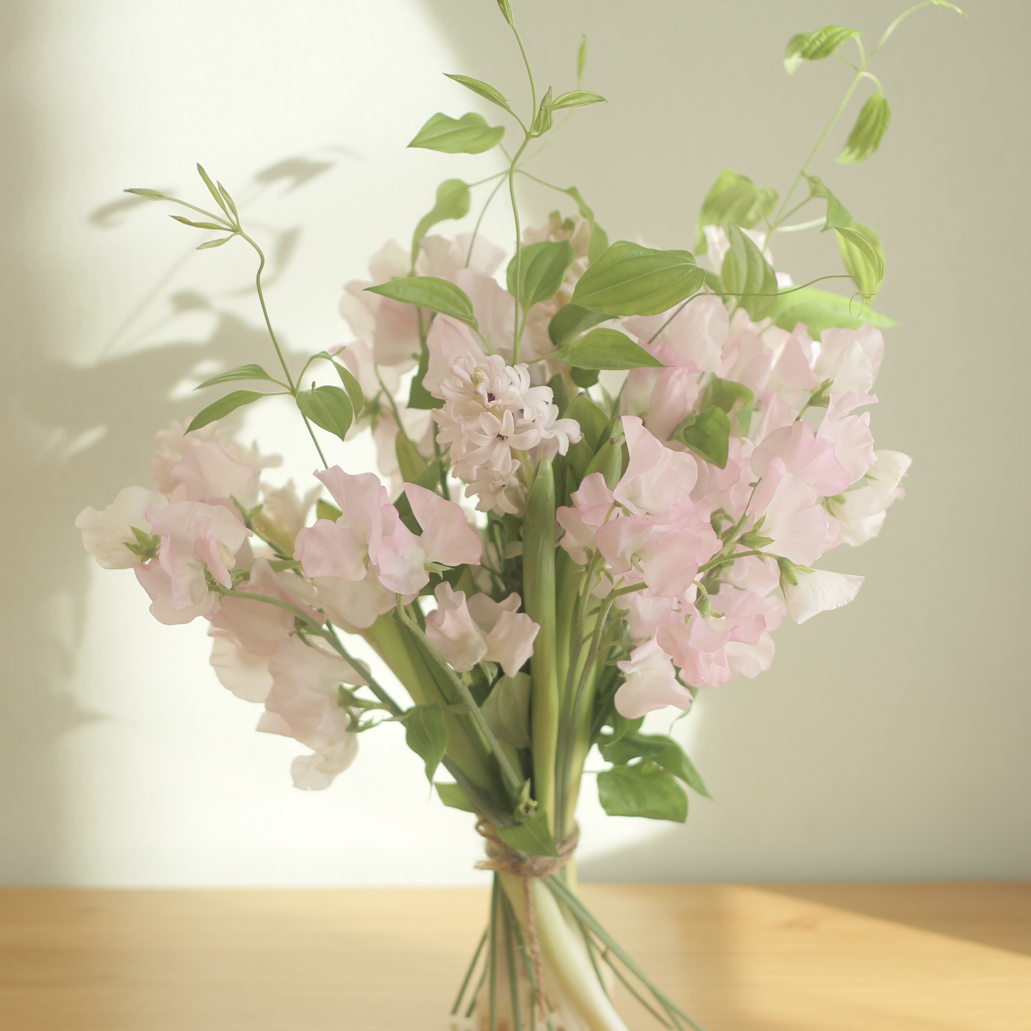 新商品ラインナップ Flower Letterから ファンフラワー 誕生 フラワーレター Flower Letter