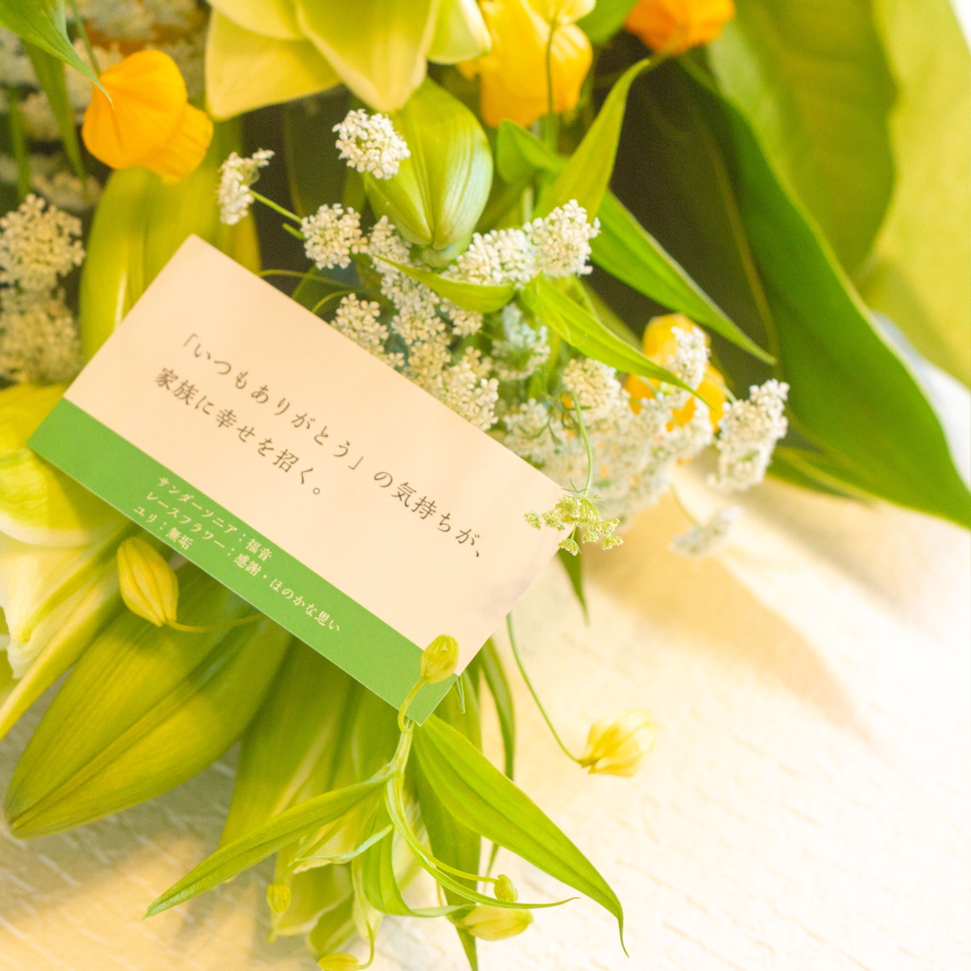 敬老の日限定商品 ユリ サンダーソニア レースフラワーで紡ぐ花言葉の贈り物 フラワーレター Flower Letter