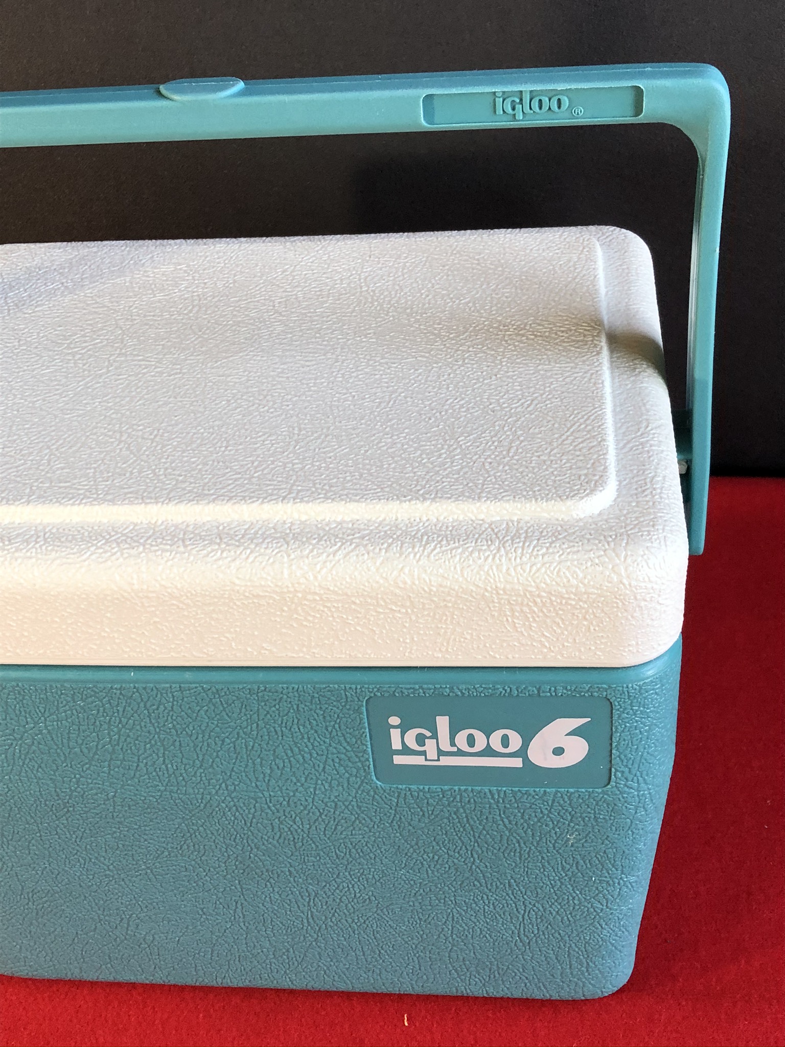 iglooの可愛いクーラーボックス。他の人と差をつけちゃおう！！