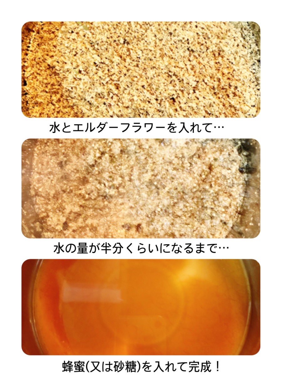 美味しくて簡単 エルダーフラワーのシロップを作ろう Base Mag 美味しくて簡単 エルダーフラワーのシロップを作ろう Base Mag