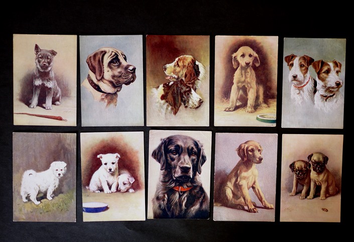 イギリス アンティークポストカード 犬の絵葉書 