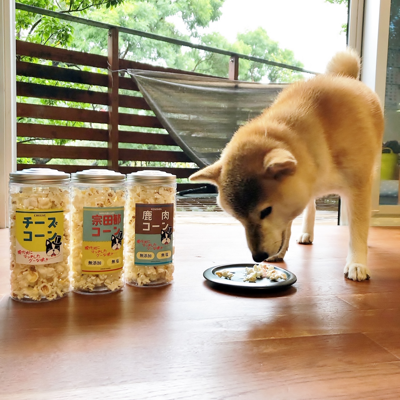 ペット専門店で人気を集める犬用おやつポップコーン Base Mag