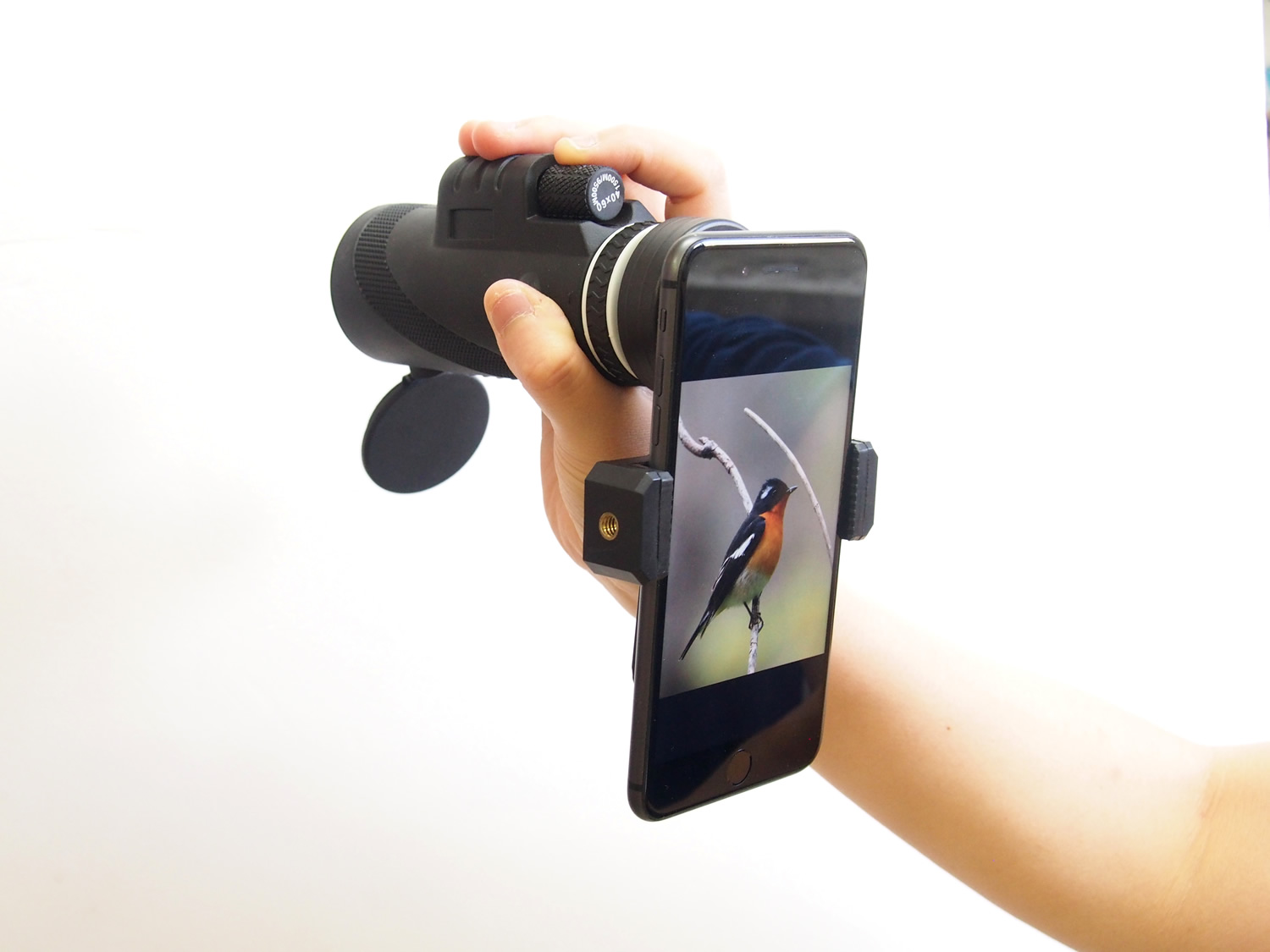 ワンランク上の写真を手軽に撮れる スマホ用望遠レンズのご紹介 Base Mag ワンランク上の写真を手軽に撮れる スマホ用望遠レンズのご紹介 Base Mag