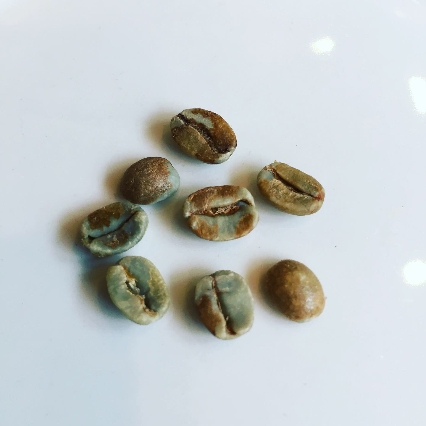 コーヒーの生豆をお米のように研いでから焙煎する【水研ぎ焙煎】のコーヒー豆！
