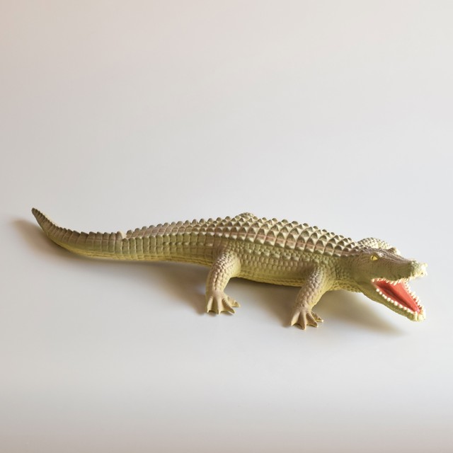 ワニと遊ぼう Base Mag