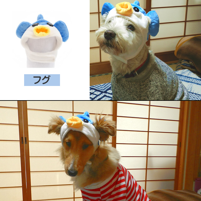 Sns映え ペット用かぶりもの フグ トラ リング Base Mag