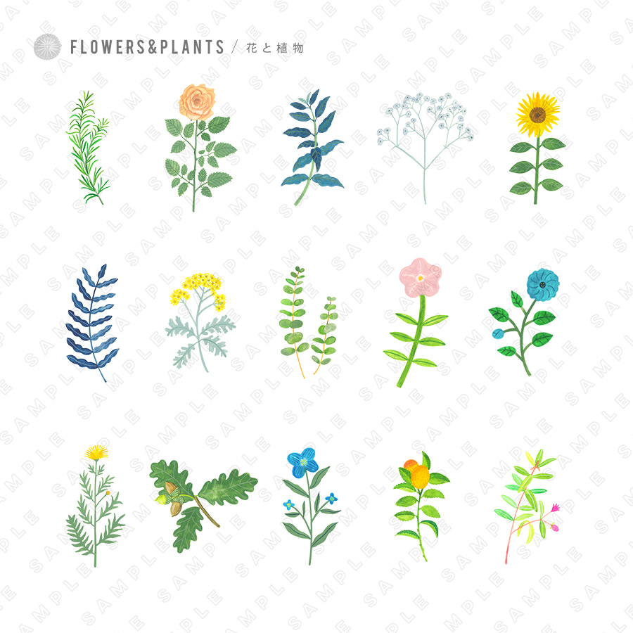 花と植物の素材集 Flowers Plants Collection が新登場 Base Mag