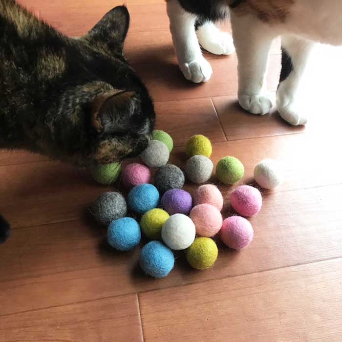STAY HOMEを猫ちゃんともっと楽しむ！猫ちゃんが1番喜ぶ羊毛ボールの猫用おもちゃ！