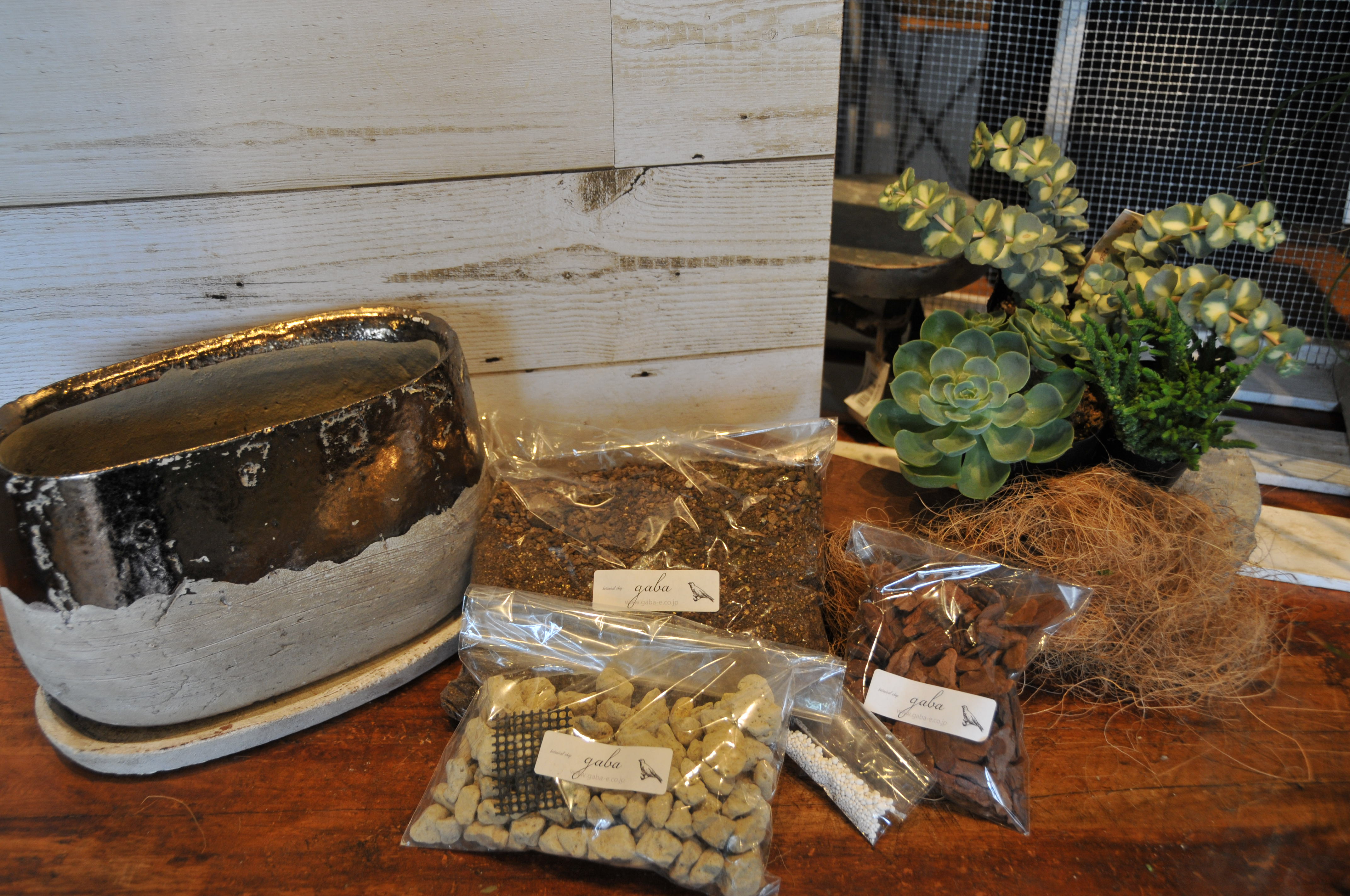 可愛い 多肉植物寄せ植えキット できました Base Mag 可愛い 多肉植物寄せ植えキット できました Base Mag