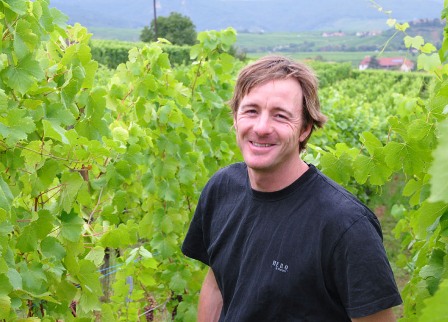 優良収穫年2015年のゲヴュルツトラミネールワインでこの価格はお買い得！