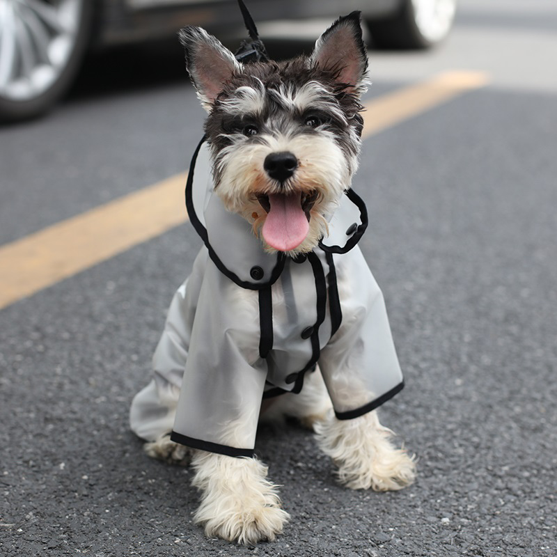 【 NEW OPEN 】雨でも散歩を楽しもう♩犬用パイピレインコート