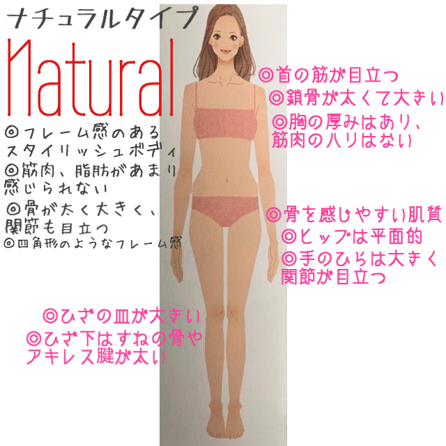 骨格診断について Base Mag