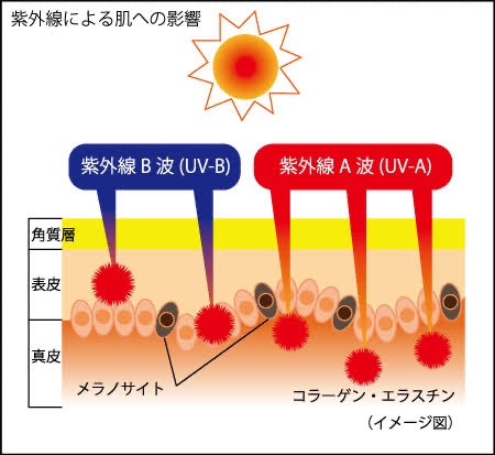 真夏に負けないケアを！
