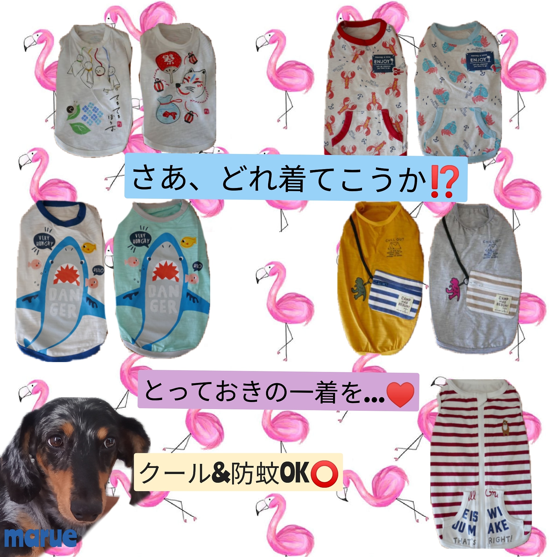 クール&防蚊加工の犬服でもっと快適に🐶
