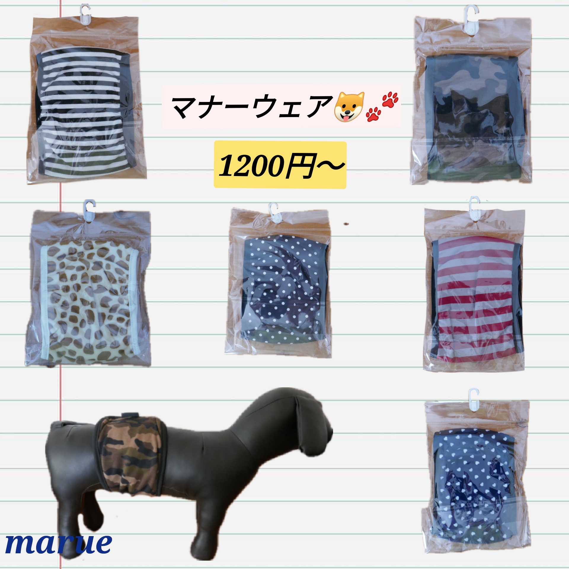 マナーベルト🐶