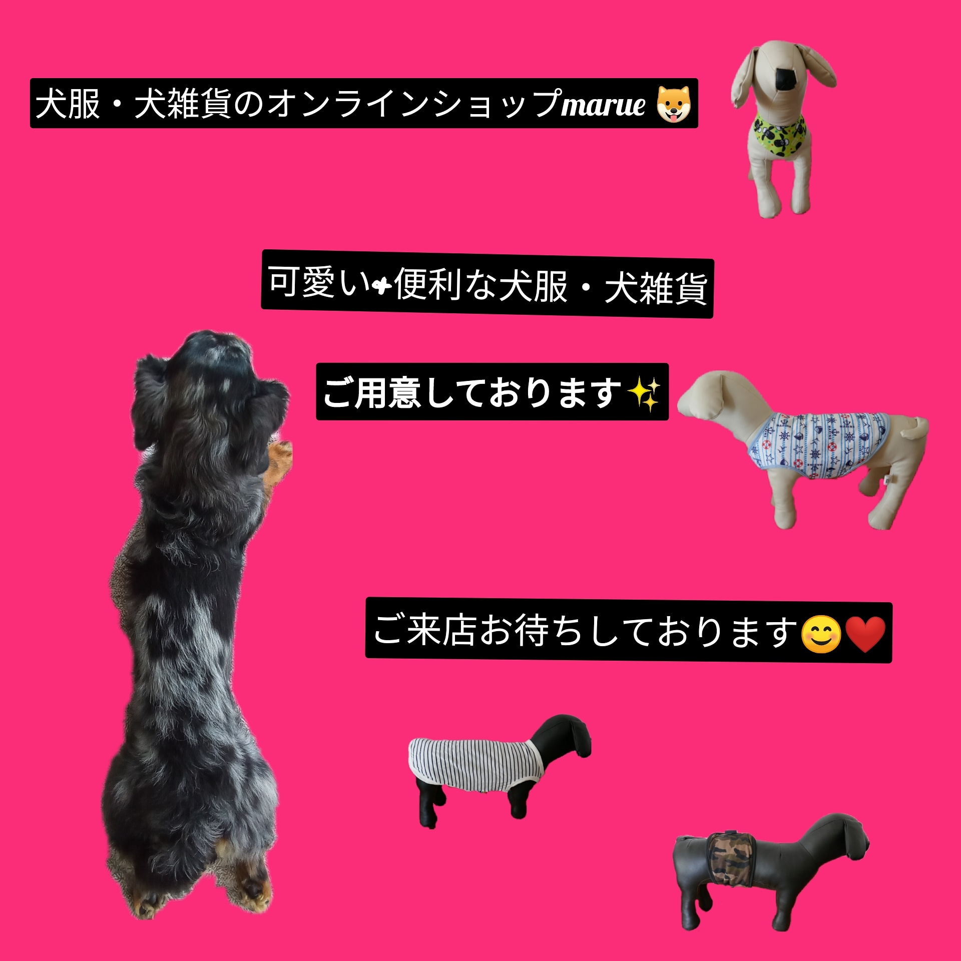 おうち時間はもちろんのこと、お出かけにも😊