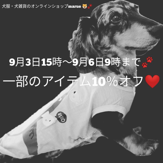 本日も犬服（ドッグウェア）一部のアイテム１０％OFFセール中です🐶