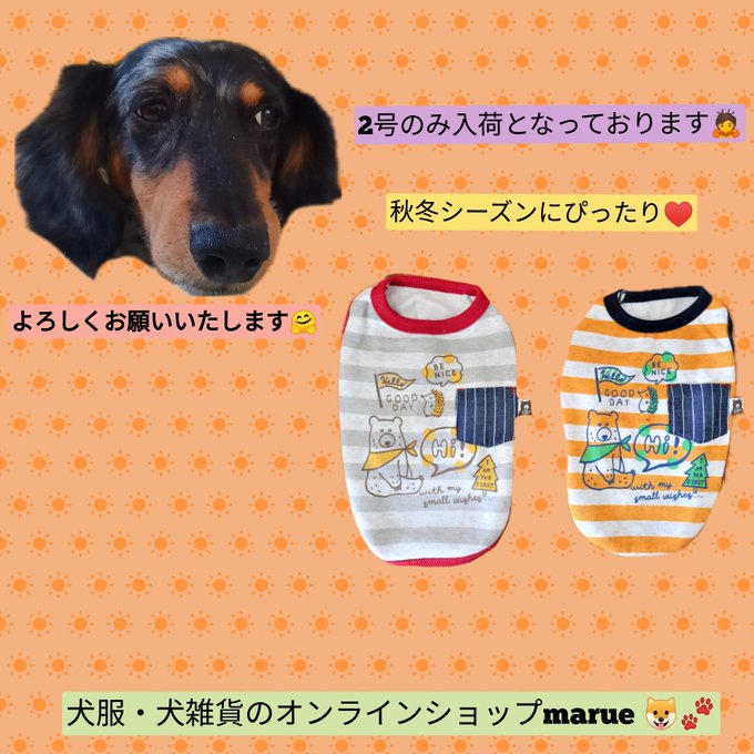 秋冬にぴったり✨可愛いボーダー犬服🎵
