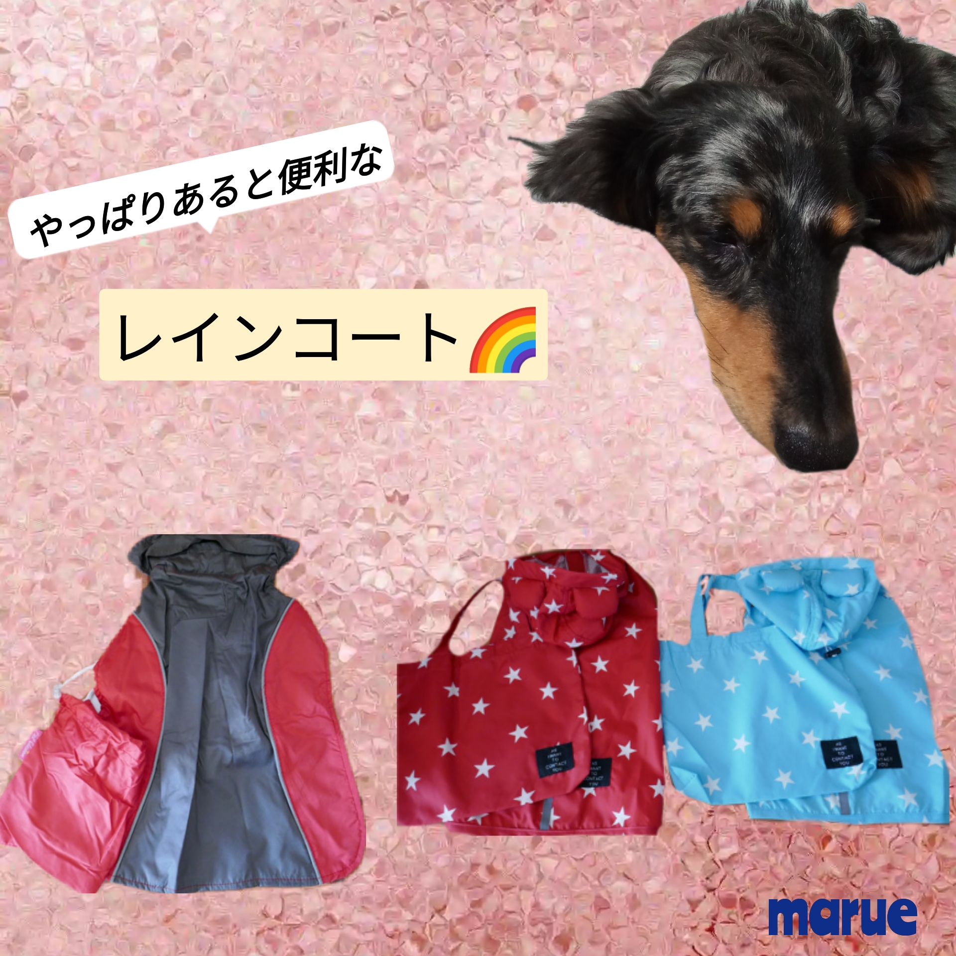 梅雨時期は備えて安心♥️レインコート犬服🐶ドッグウェア❤️