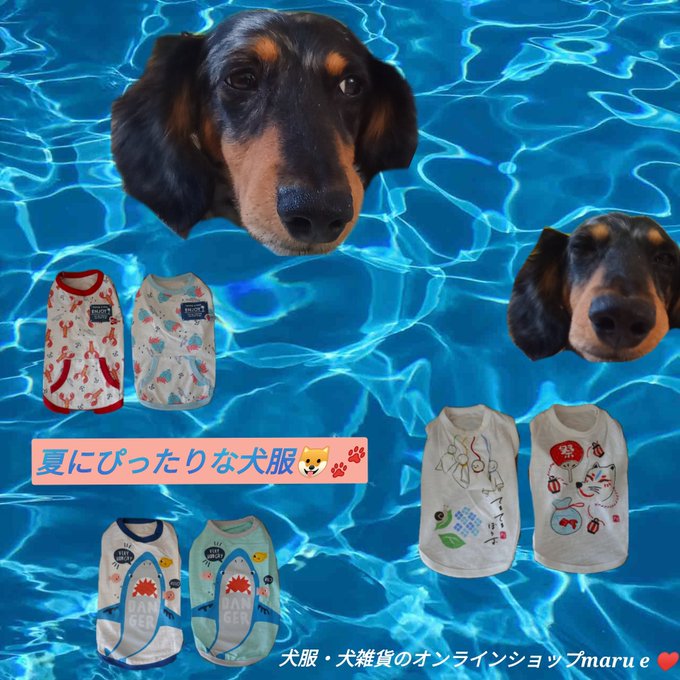 夏真っ盛り☀にぴったりな犬服🐶