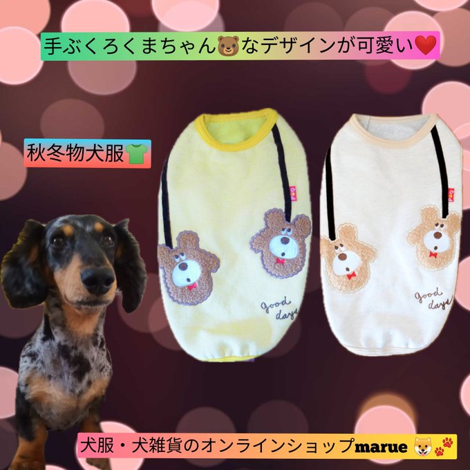 秋冬を一足お先に✨可愛い手ぶくろくまちゃんの犬服です🐶