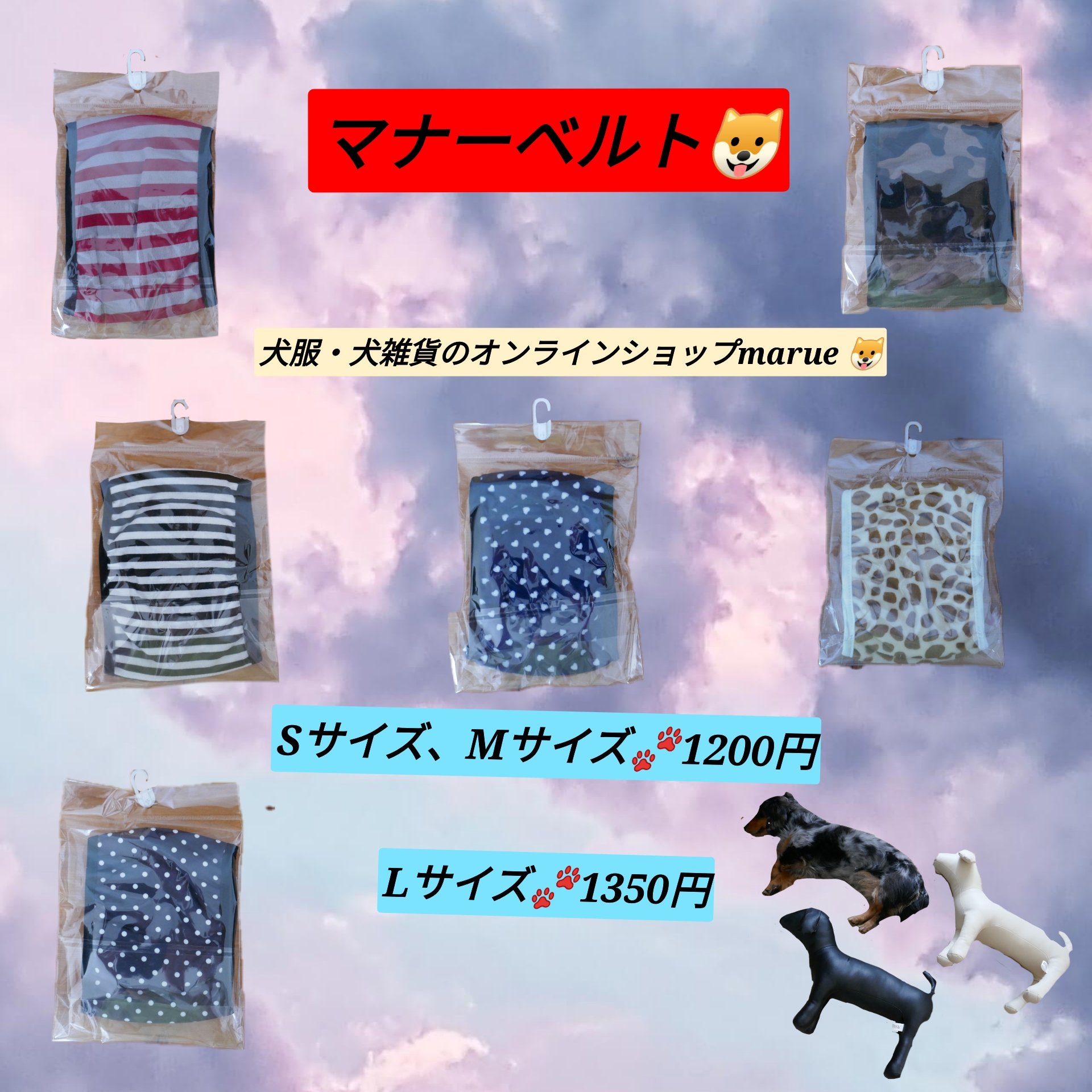 わんちゃん用マナーベルト✨