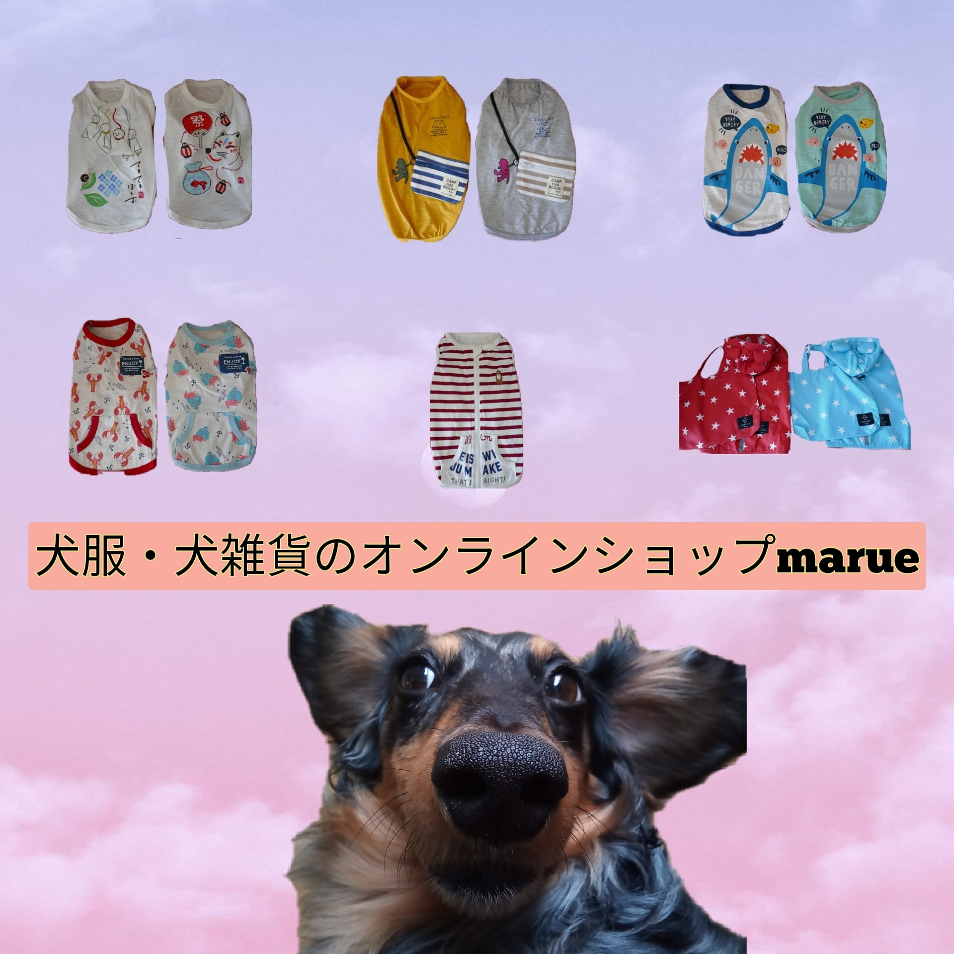 犬服・犬雑貨のオンラインショップmarue🥰🐶
