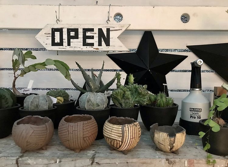 塊根植物やアガベ 多肉におすすめ 個性のあるハンドメイド 信楽焼の植木鉢 Clutch Furniture クラッチ ファニチャー 塊根植物やアガベ 多肉におすすめ 個性のあるハンドメイド 信楽焼の植木鉢 Clutch Furniture クラッチ ファニチャー