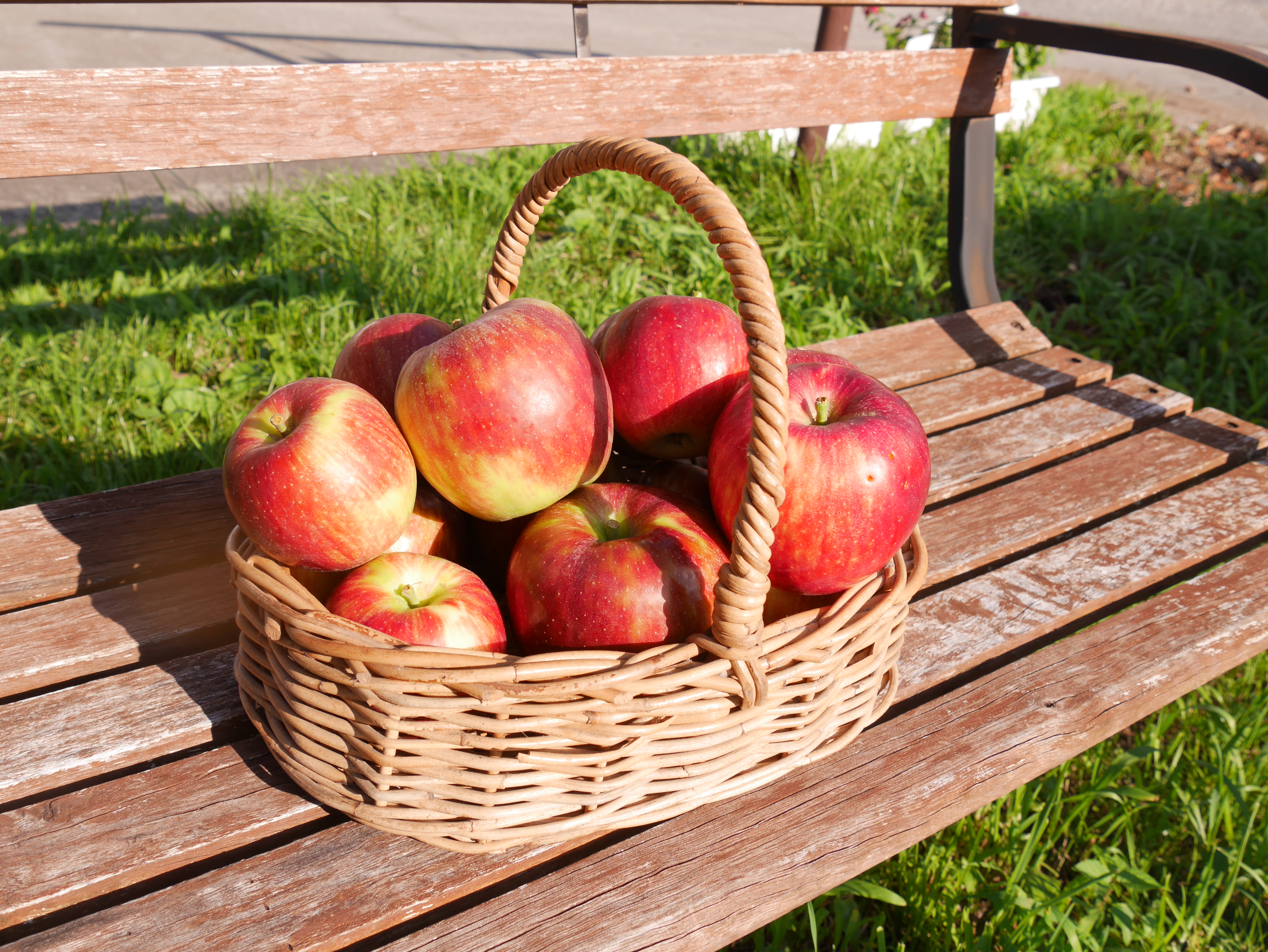 夏にぴったり！長野県松川町産のりんごのみを使ったりんごジュース
