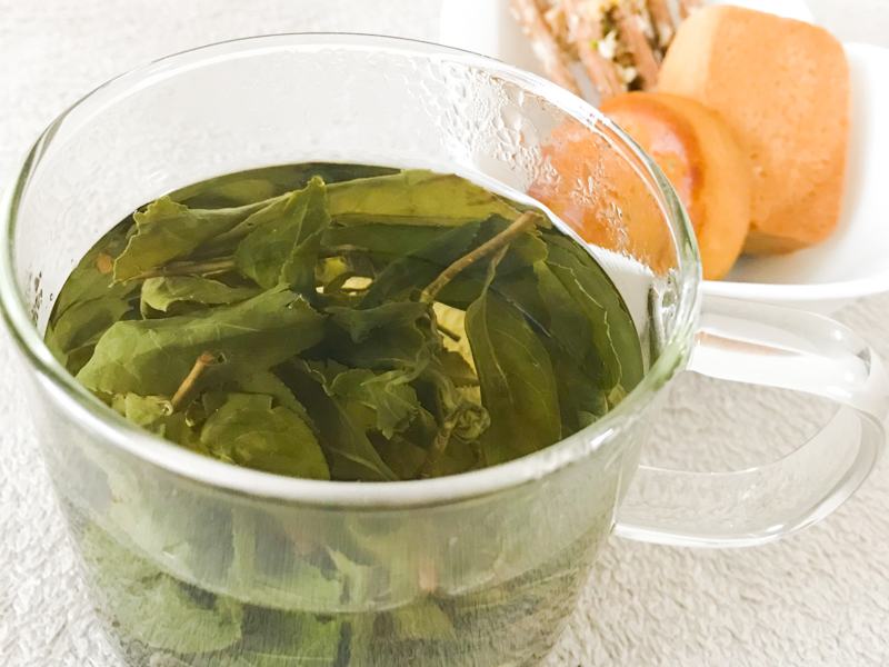 急須いらずの台湾茶と高山青緑茶で免疫力を高めよう！