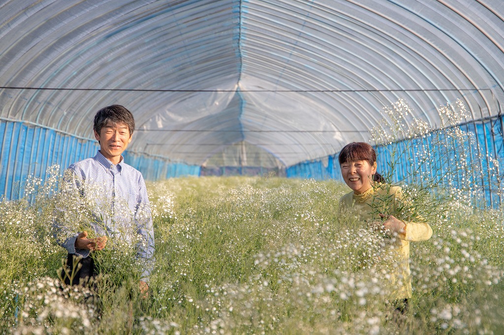 お花のつくり手 応援 福島県昭和村の かすみ草 を飾ろう よいはな Yoihana 最高品質の良い花の通販サイト
