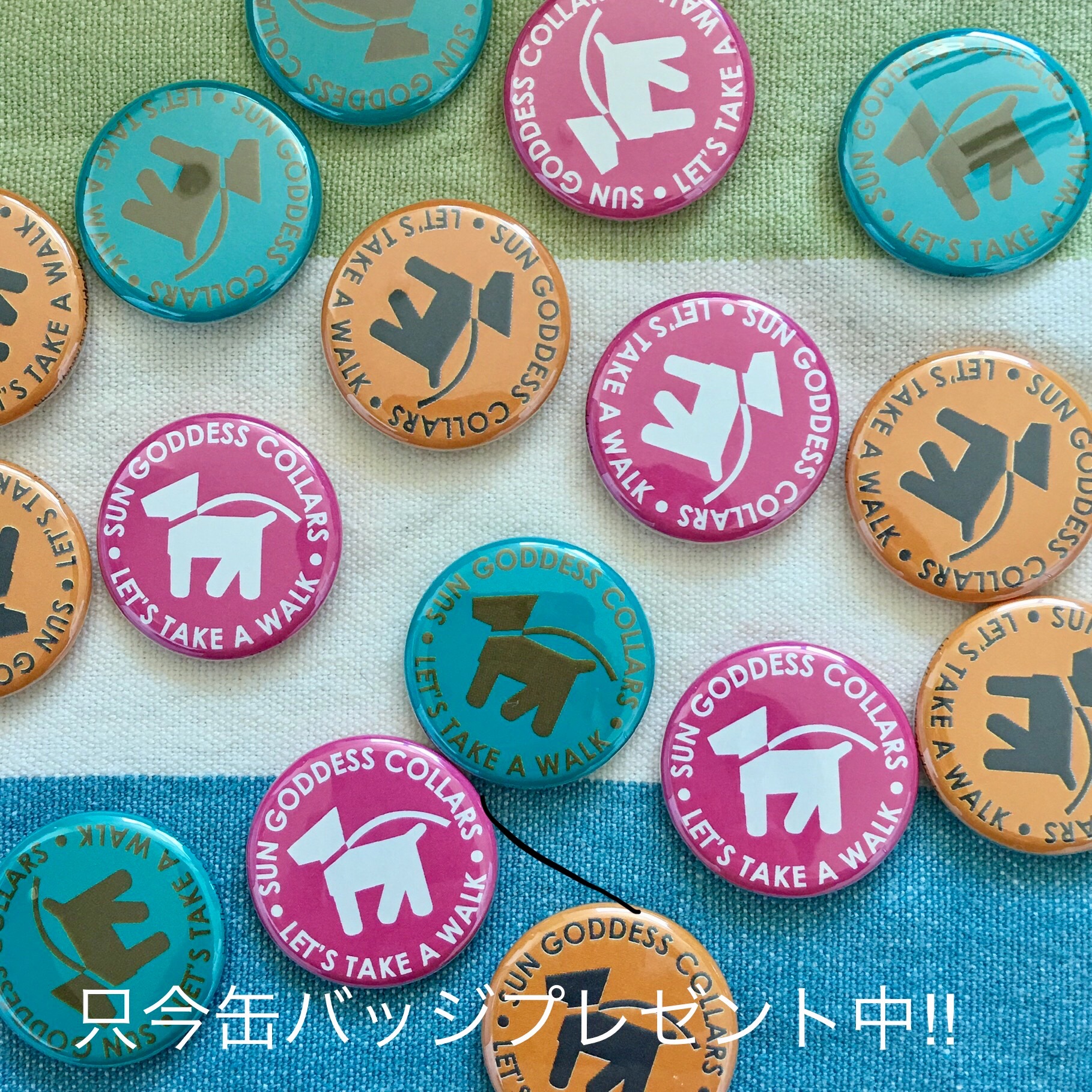 お散歩に最高の季節です お散歩バッグを新調しませんか 只今缶バッジプレゼント中 Base Mag