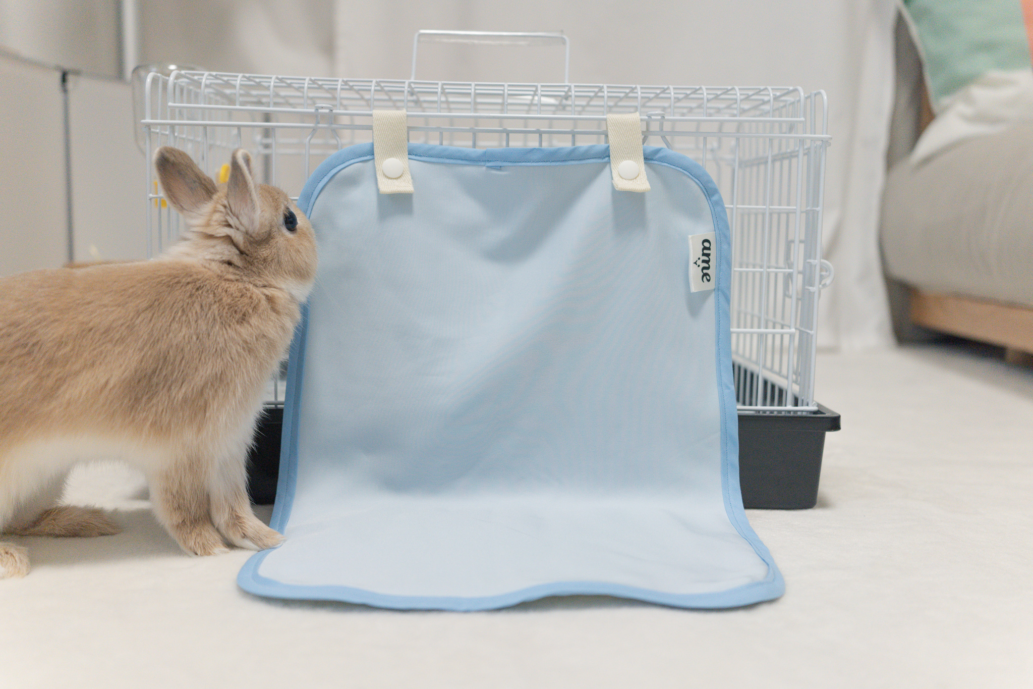 うさちゃんもひんやり涼しく ひんやり冷感 らくらくワンタッチマット Ame うさぎのデザイン雑貨専門ストア うさちゃんもひんやり涼しく ひんやり冷感 らくらくワンタッチマット Ame うさぎのデザイン雑貨専門ストア