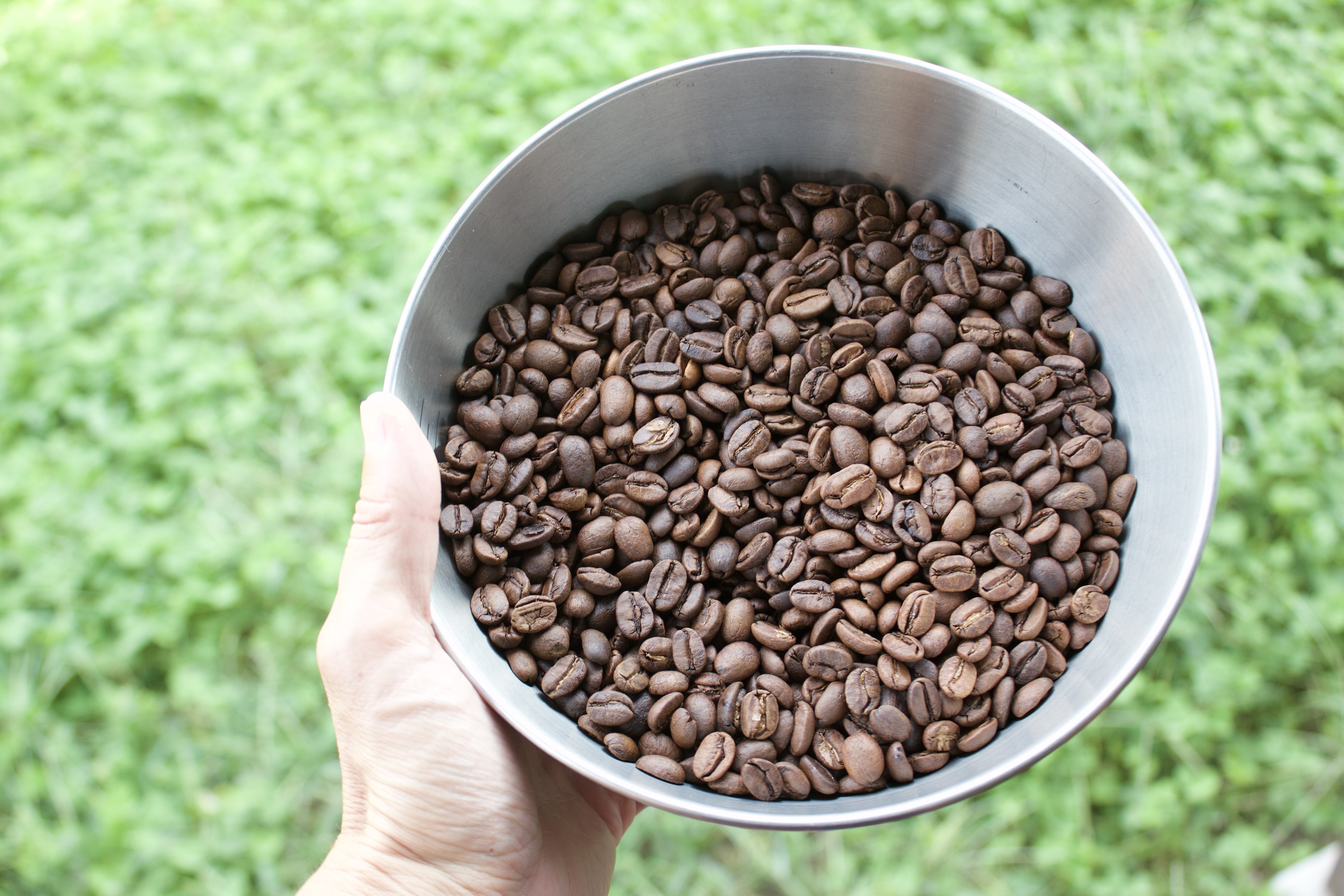 まだあまり知られていない無農薬の〝ラオスコーヒー〟お薦めします。