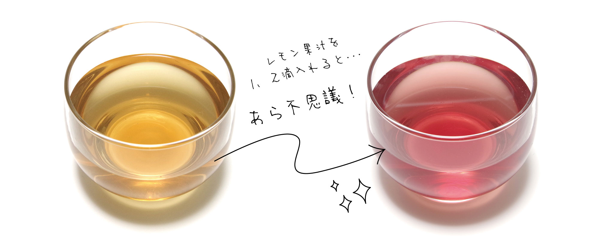 色が変わる不思議なお茶『サンルージュ』 | とくのしま製茶｜サンルージュの緑茶・紅茶・烏龍茶｜