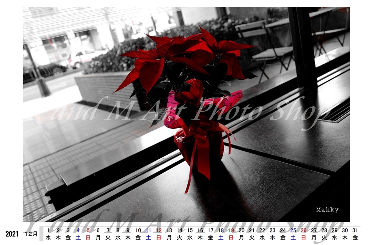 自分の写真でカレンダーを作りたい方専用☆2021年ハガキサイズ用カレンダー日付データ☆