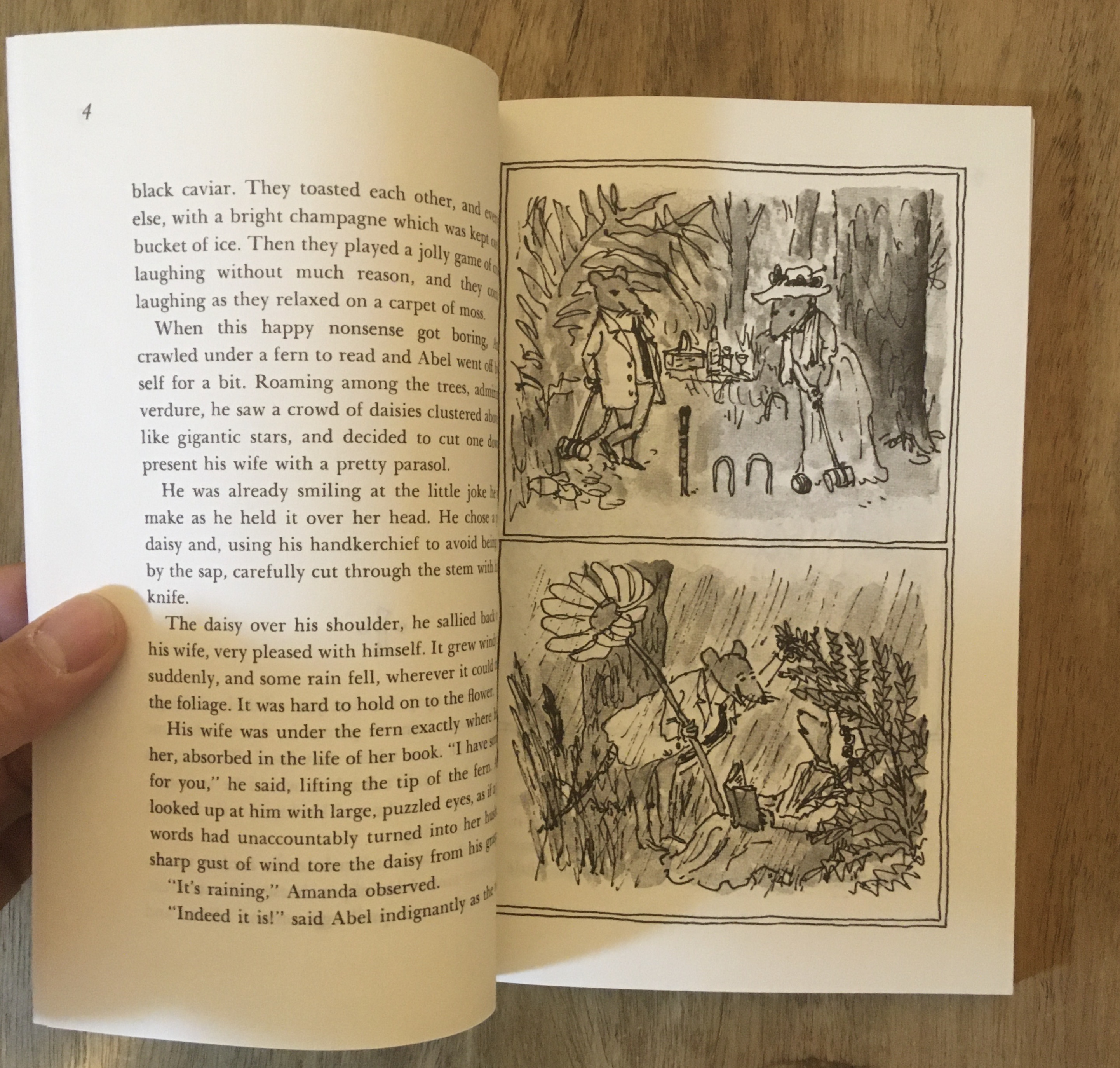ウィリアム スタイグさんの素敵な絵本の紹介 素敵な洋書の絵本屋さん Read Leaf Books