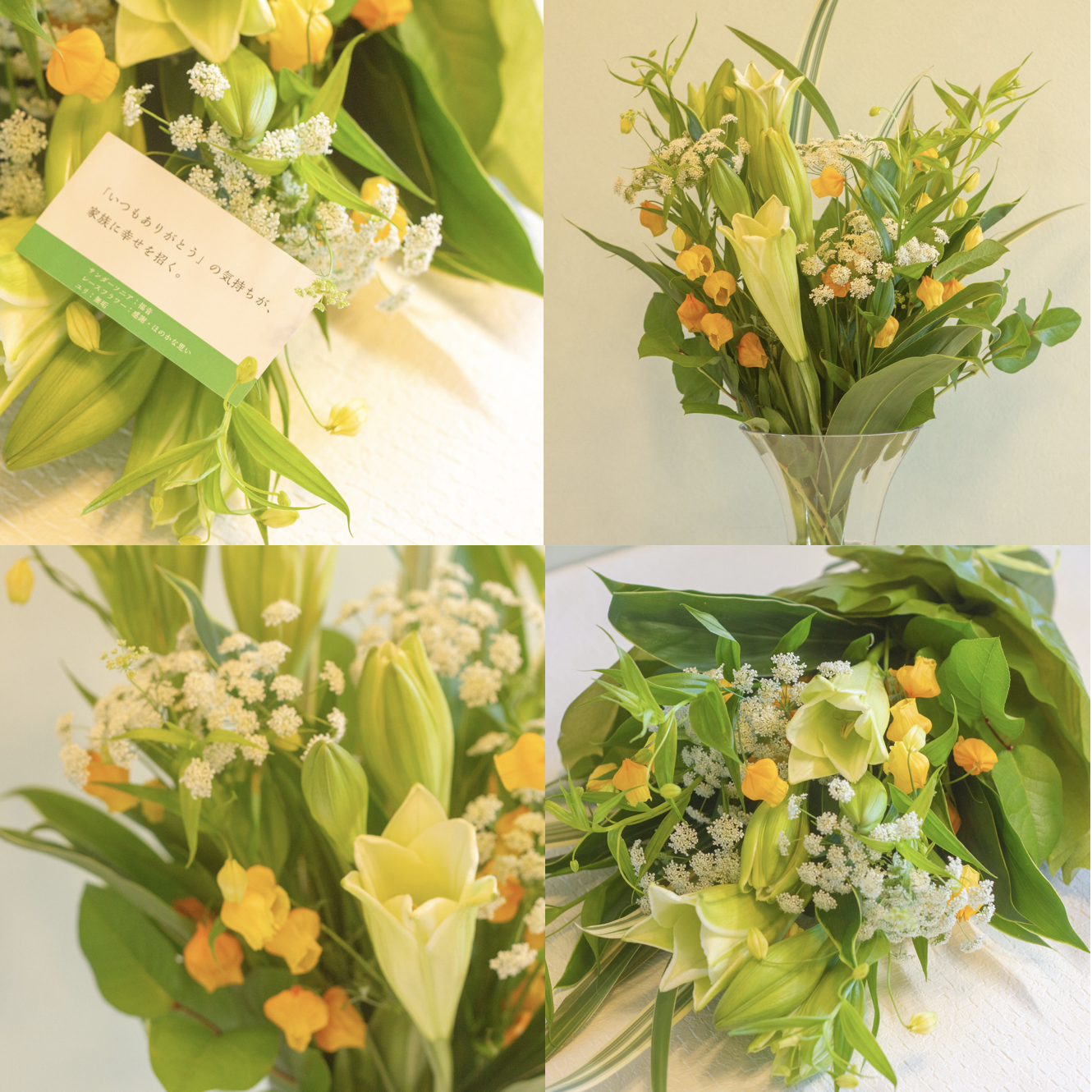 敬老の日に何故シードペーパーを植えるのか フラワーレター Flower Letter 敬老の日に何故シードペーパーを植えるのか フラワーレター Flower Letter