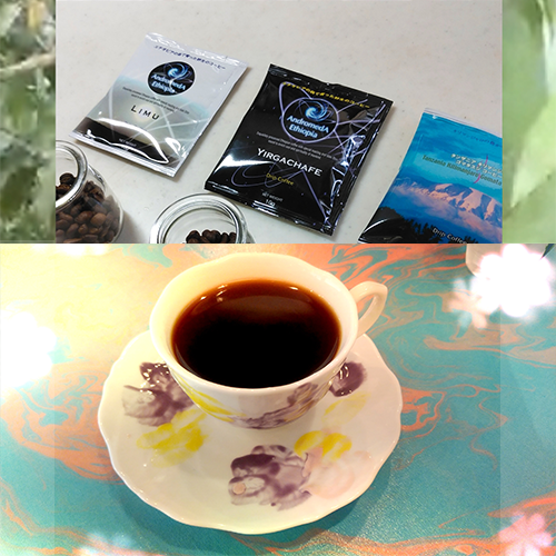 ☆究極のコーヒー豆☆野生のコーヒーの豆３種類セットを、送料無料キャンペーン中！【11月も継続！】