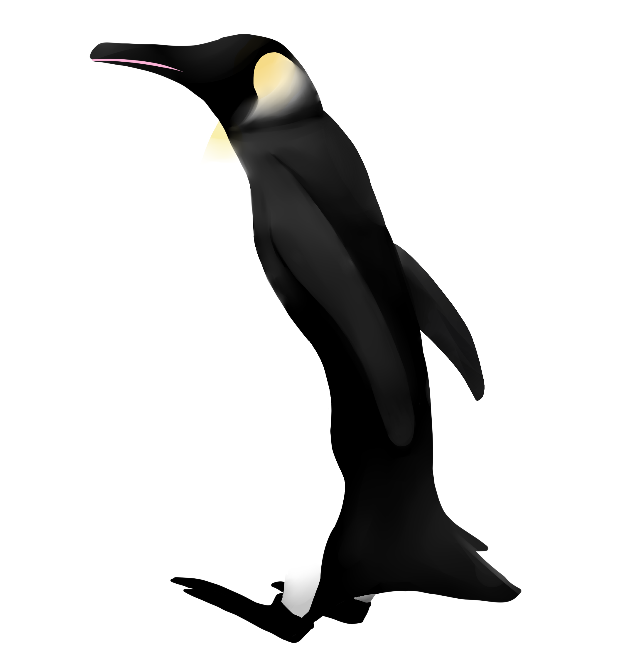 大人かわいい ペンギンのシンプルポーチ第2弾 Mikankato