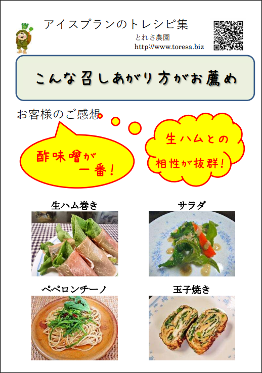 アイスプラントに生ハムを巻いてお召し上がりください Base Mag