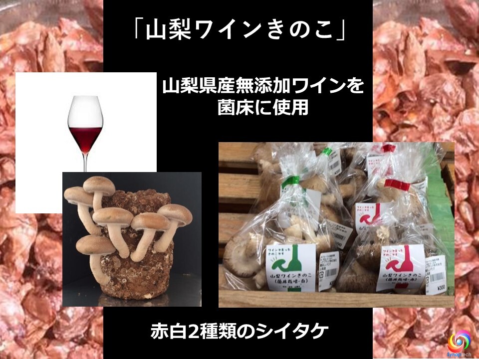 山梨ワインきのこ菌床栽培シイタケ規格外品2kg 赤及び白ワイン使用 規格外品のシイタケをレスキュー Tabete レスキュー掲示板