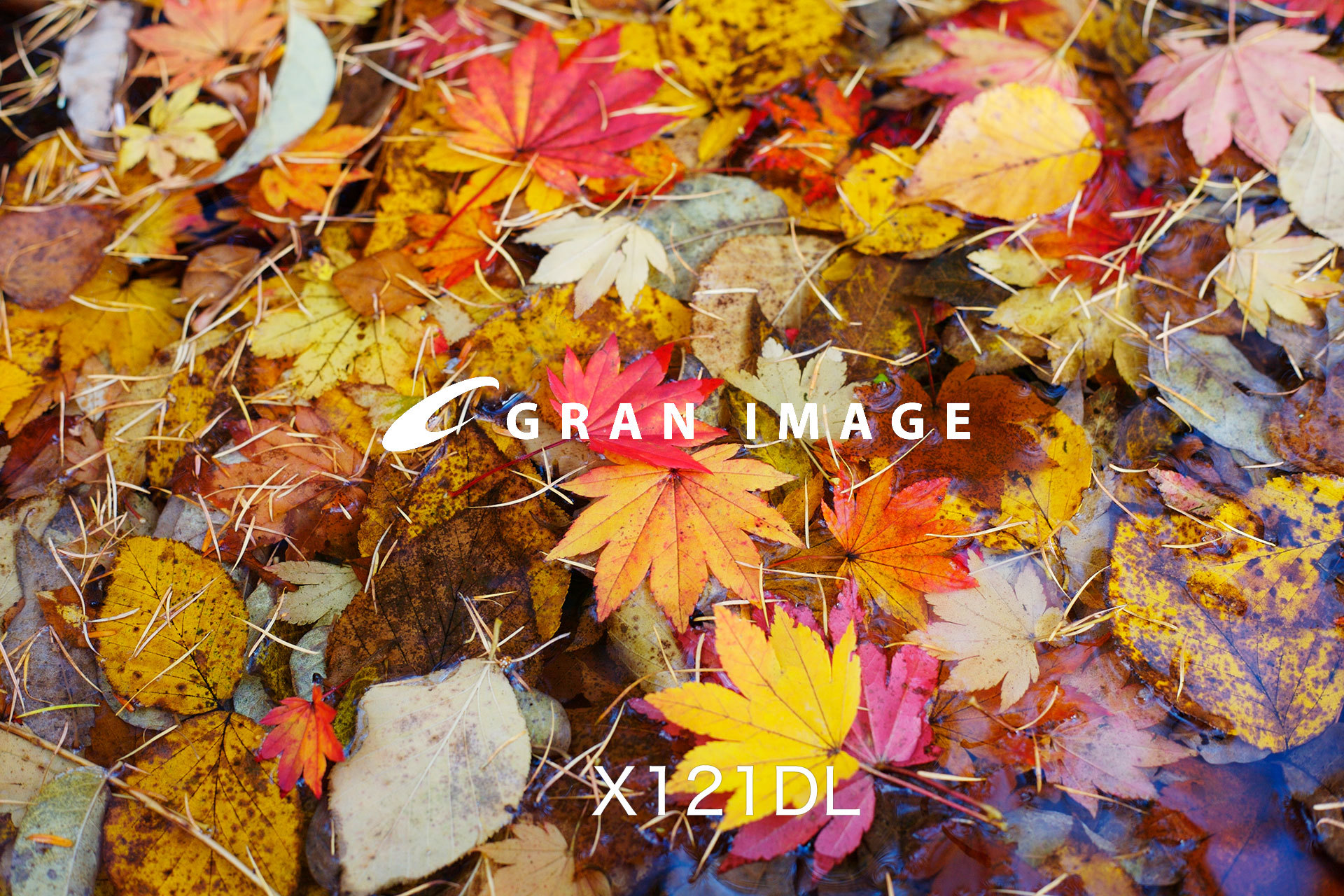 グランイメージ写真素材集 X121dl 美しい秋 ダウンロード製品 871mb Artzone Web Shop