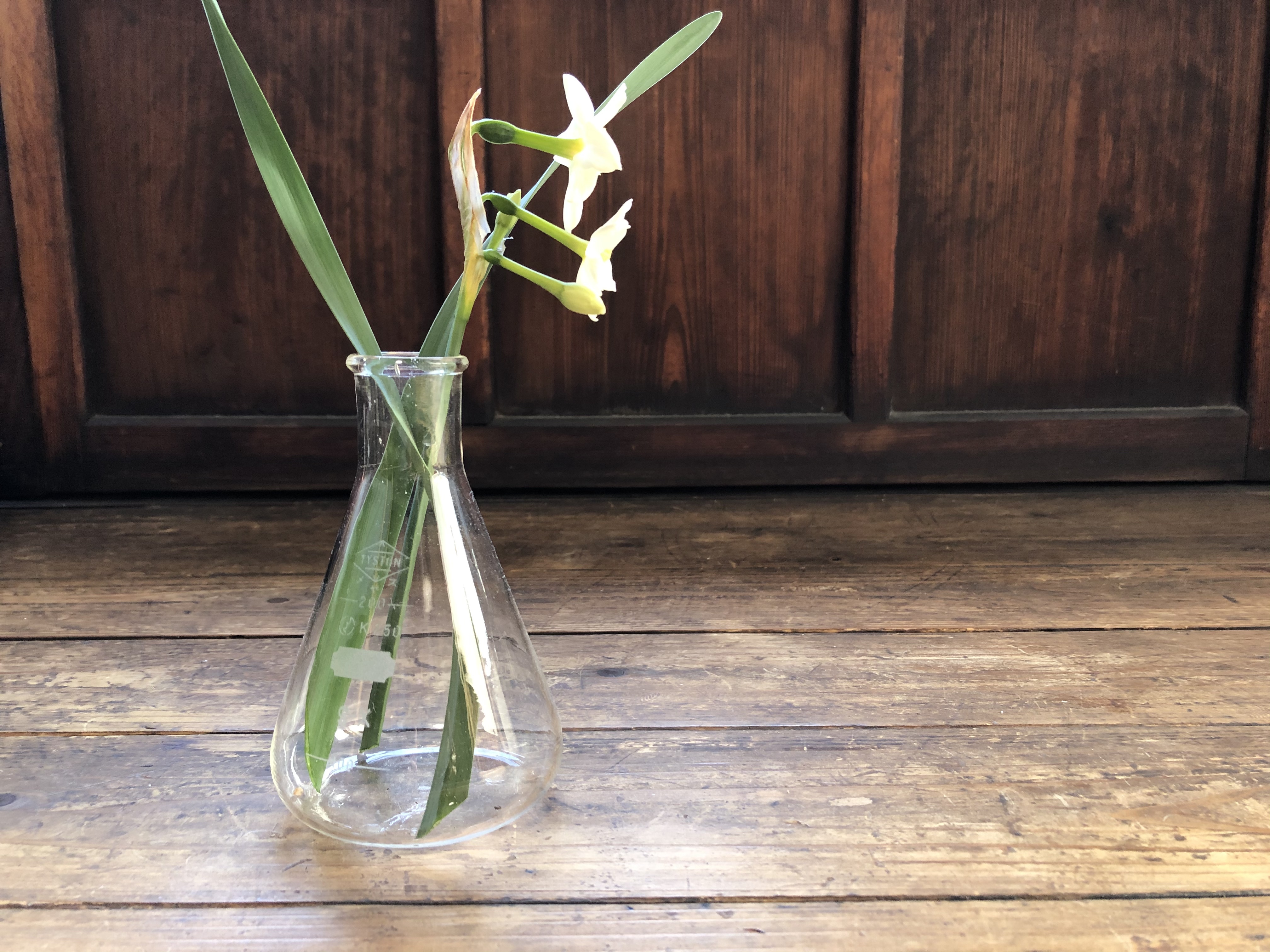 古いガラスのフラスコ 花瓶 骨董品 ビンテージ アンティーク 一輪挿し 古道具 Plants Maru ー 多肉植物 サボテン 園芸グッズのお店 ー