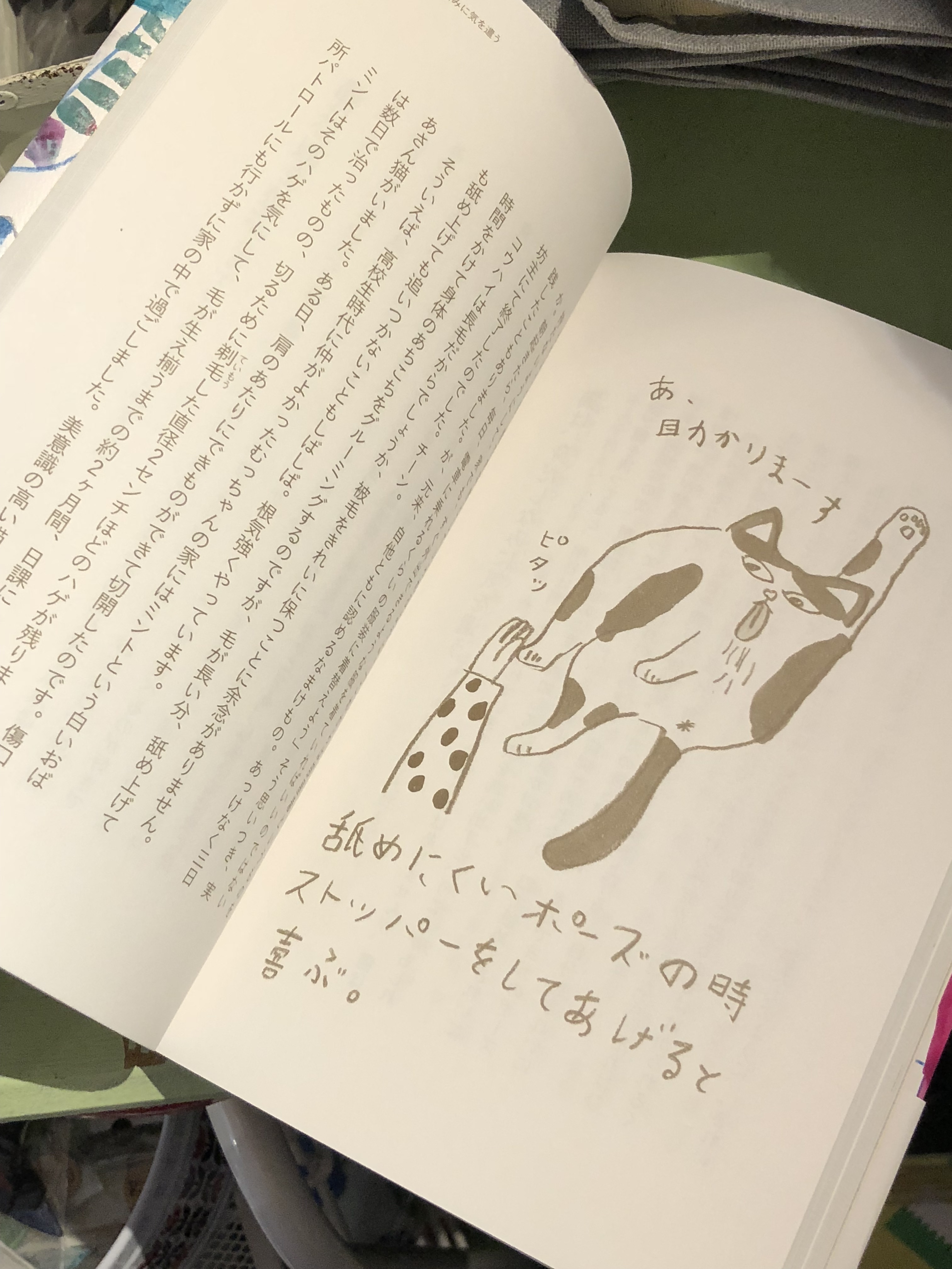 猫本 猫は うれしかったことしか覚えていない エッセイ 単行本 ミロコマチコ 石黒由紀子 猫エッセイ コチカーニバル