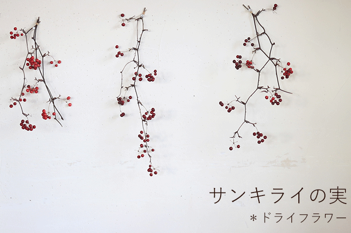 サンキライの実 ドライフラワー 富良野 花七曜 ドライフラワーショップ